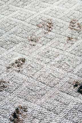 foot print spots on carpet