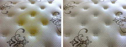 mattress urine treatment before and after